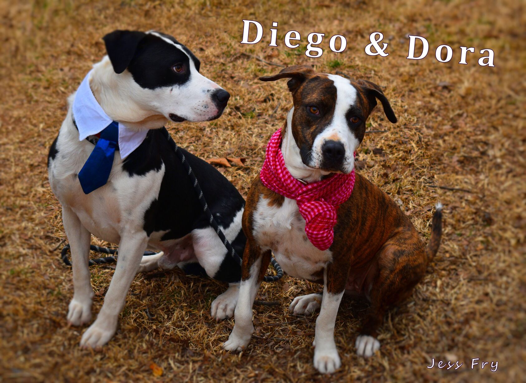 Diego and Dora